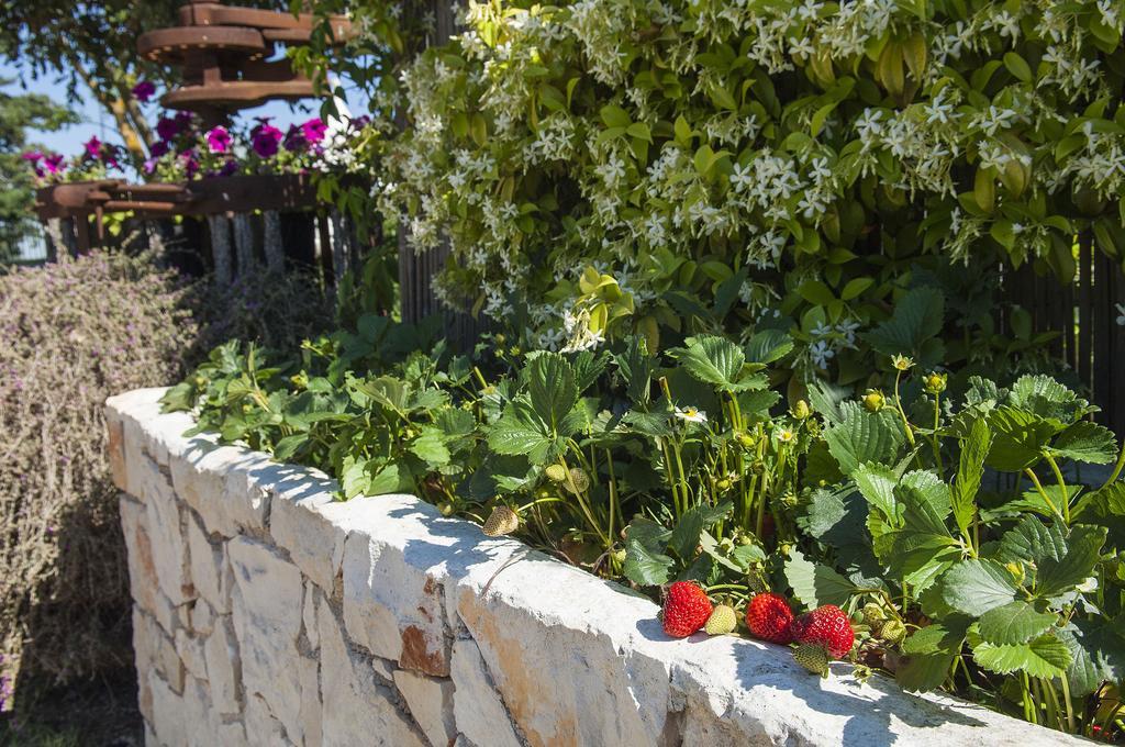 B&B Trulli Valle D'Itria Martina Franca Kültér fotó